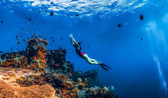 Sejarah, Lokasi, dan Keunikan Japanese Ship Wreck Point yang Ada di Bali