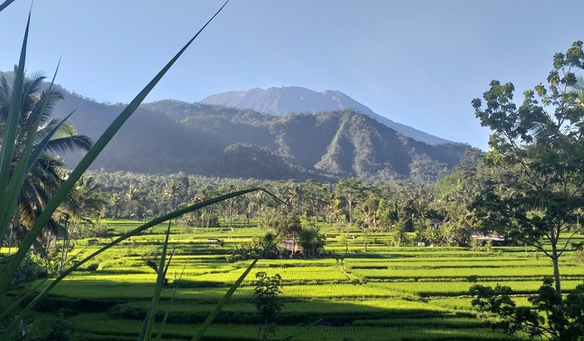 Menelusuri Pesona Sibetan Rice Terrace, Hidden Gem Bali