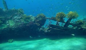 Japanese Ship Wreck Point