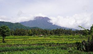 sibetan rice terrace