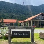 Bali Farm House