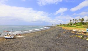 Daya Tarik dan Opsi Kegiatan yang Bisa Dilakukan di Pantai Purnama Bali