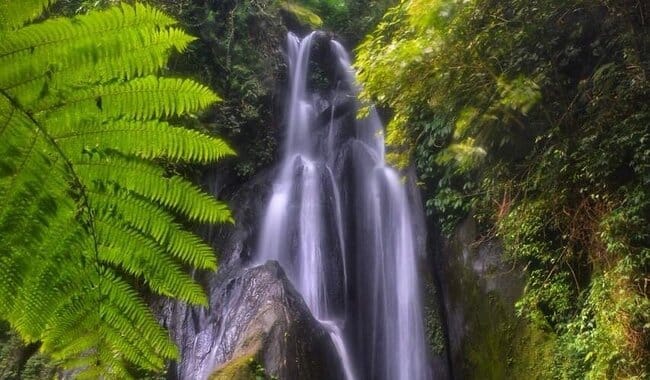 Krisik Waterfall: Surga Tersembunyi di Bali Utara