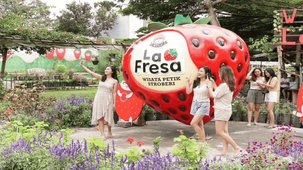 La Fresa Bali: Serunya Petik Strawberry di Dataran Tinggi Kintamani