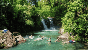 Air Terjun Kroya: Permata Tersembunyi Bali Utara yang Memacu Adrenalin
