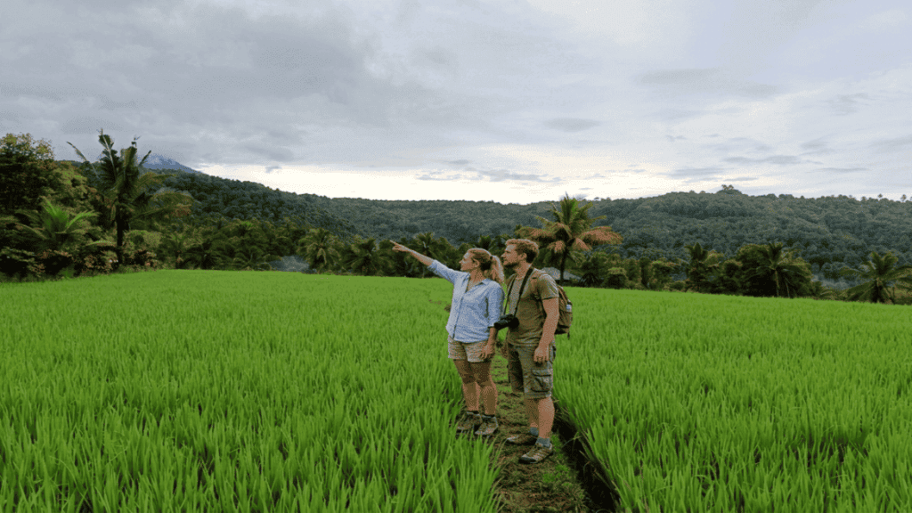 Rice Terrace Munduk: Terasering Tersembunyi di Dataran Tinggi Bali