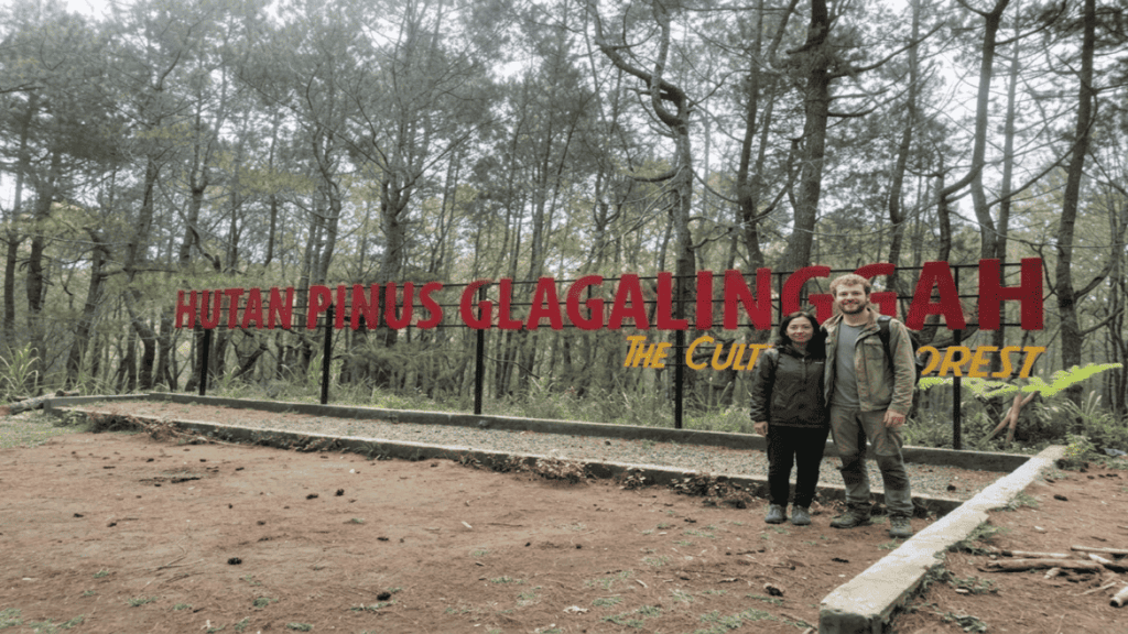 Hutan Pinus Glagalinggah Lestari: Surga Sejuk Tersembunyi di Bali