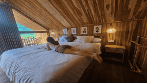 Dynasty Glamping